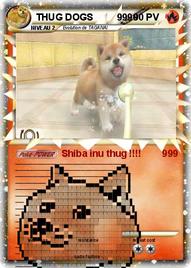 Pokemon THUG DOGS         9990