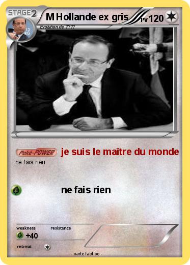 Pokemon M Hollande ex gris