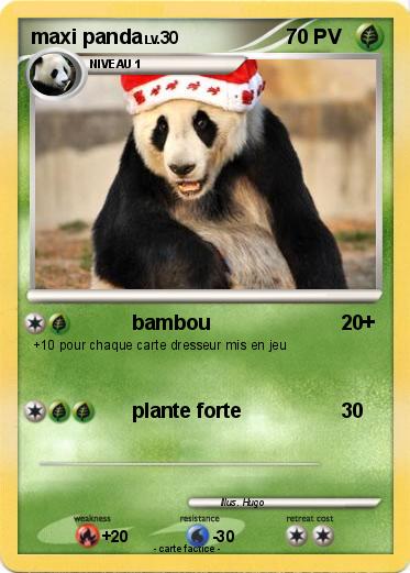 Pokemon maxi panda