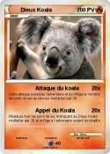 Dieux Koala