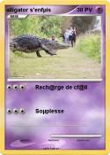 alligator s'enf