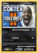 cortex