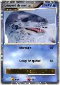 Léopard de mer