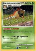Grande iguane