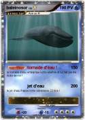 baleinosor
