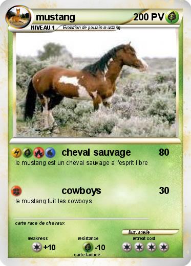 Coloriage De Cheval Sauvage