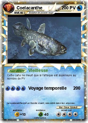 a la rencontre du coelacanthe