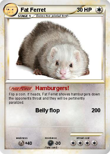 Pokémon Fat Ferret - Hamburgers! - My Pokemon Card