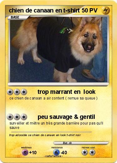 Pokemon chien de canaan en t shirt