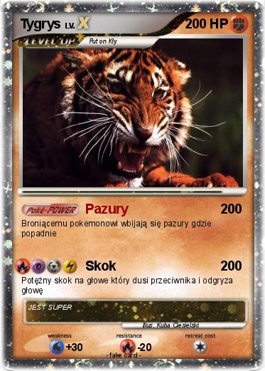 Pokemon Tygrys