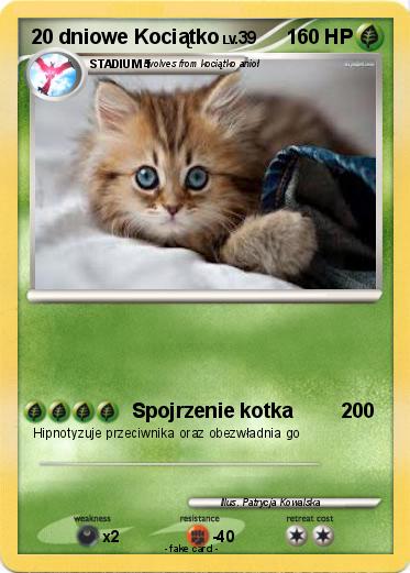Pokemon 20 dniowe Kociątko