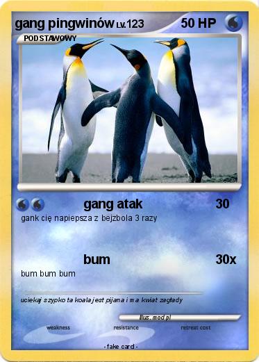 Pokemon gang pingwinów