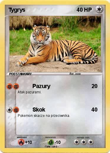Pokemon Tygrys