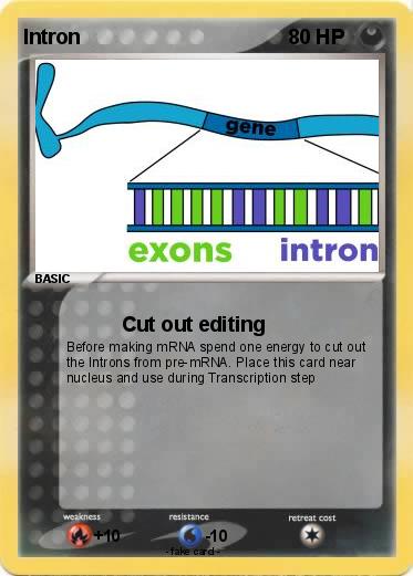 Pokemon Intron