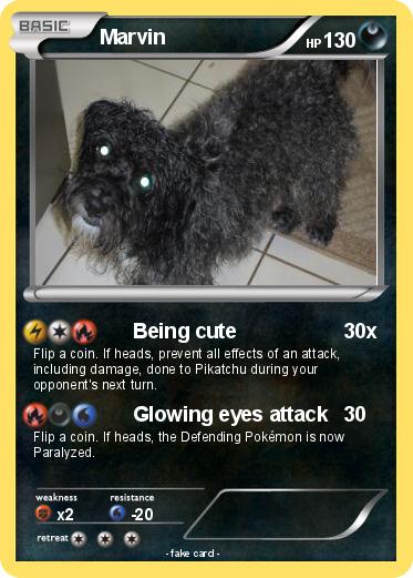 Pokemon Marvin