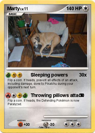 Pokemon Marty