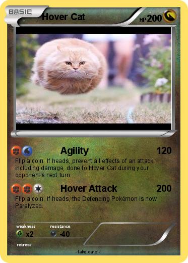Pokemon Hover Cat