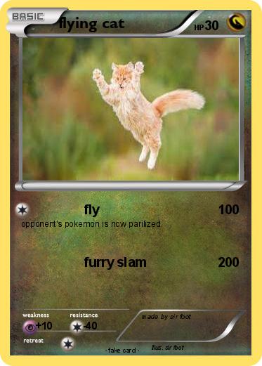 Pokemon flying cat