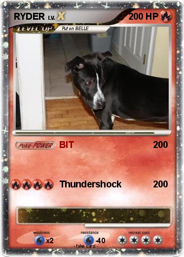 Pokemon RYDER