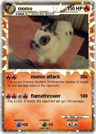 Pokemon momo
