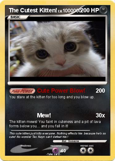 Pokemon The Cutest Kitten!