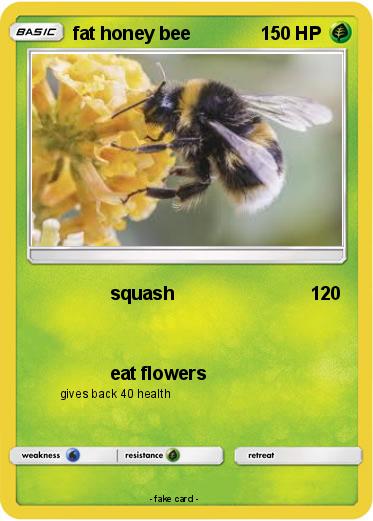 Pokemon fat honey bee