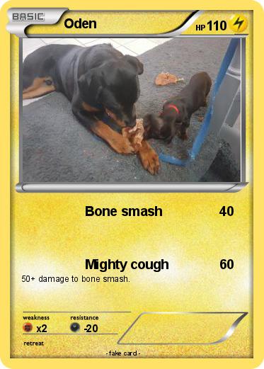 Pokemon Oden