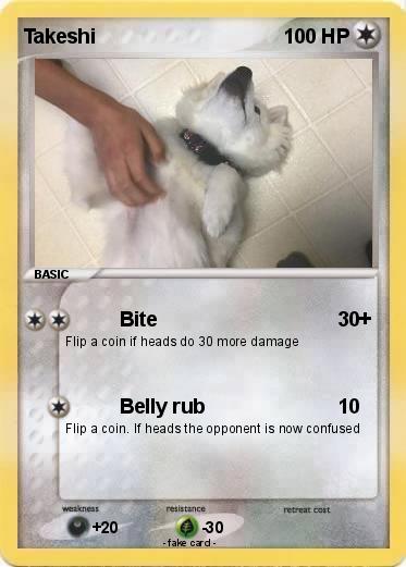 Pokemon Takeshi