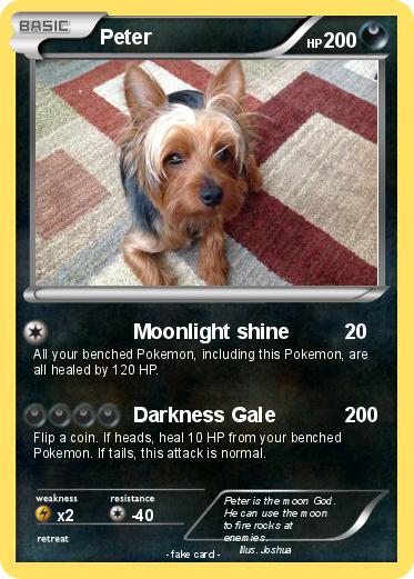 Pokemon Peter
