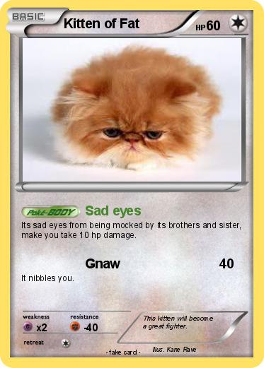 Pokemon Kitten of Fat