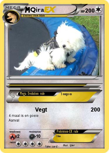 Pokemon Qira