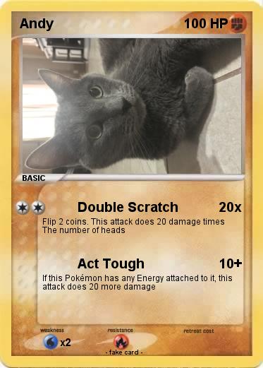 Pokemon Andy