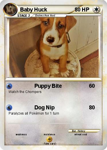 Pokemon Baby Huck
