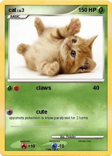 Pokemon cat