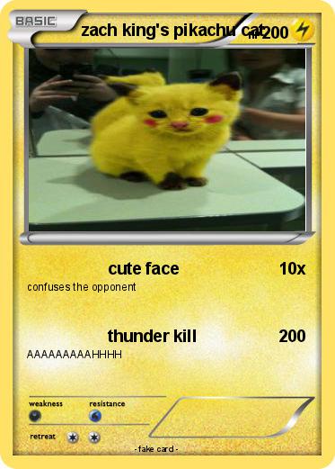 Pokemon zach king's pikachu cat