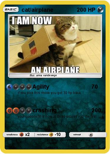 Pokemon cat/airplane