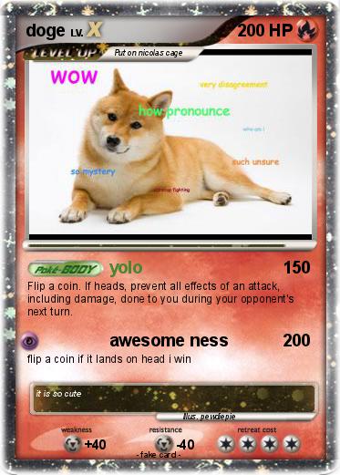 Pokemon doge