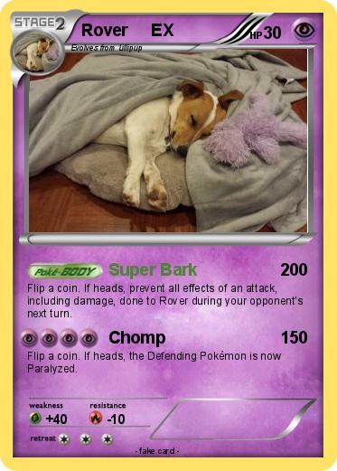 Pokemon Rover     EX