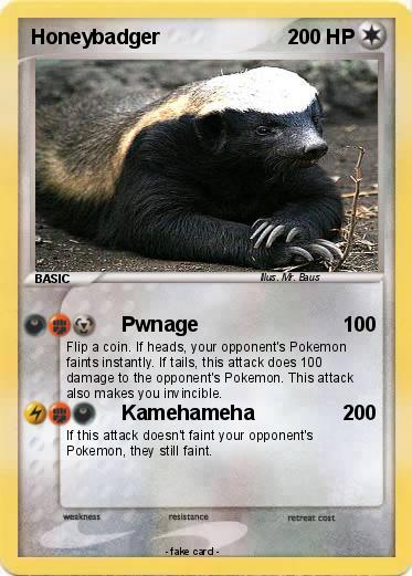 Pokemon Honeybadger