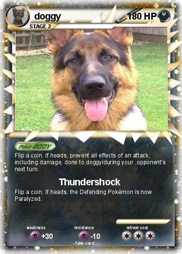 Pokemon doggy