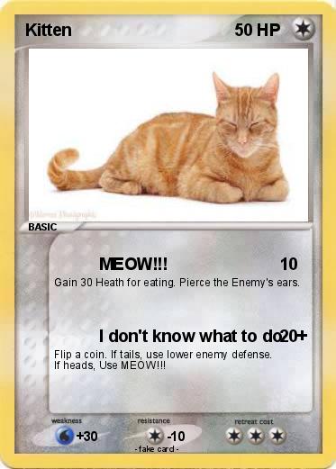 Pokemon Kitten
