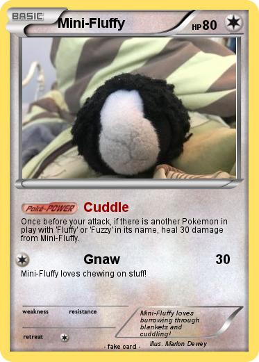 Pokemon Mini-Fluffy