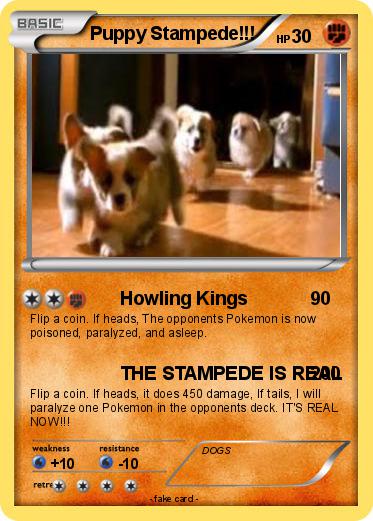 Pokemon Puppy Stampede!!!