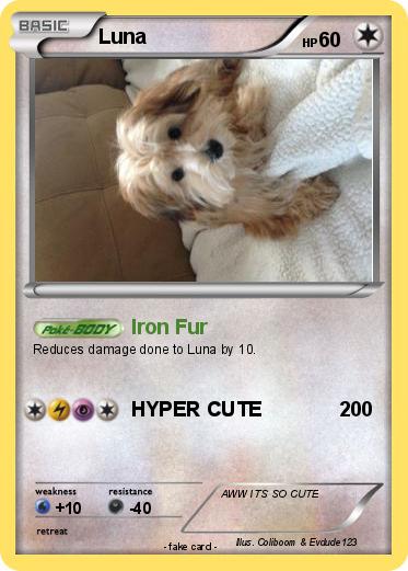 Pokemon Luna