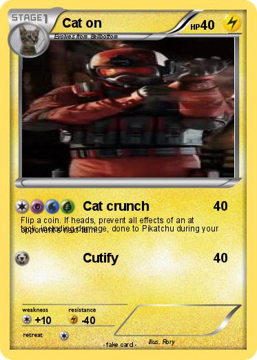 Pokemon Cat on