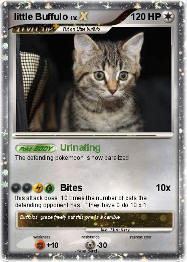 Pokemon little Buffulo
