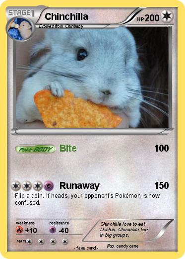 Pokemon Chinchilla