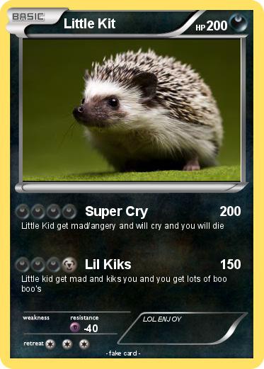 Pokemon Little Kit