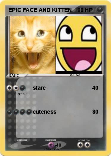 Pokemon EPIC FACE AND KITTEN