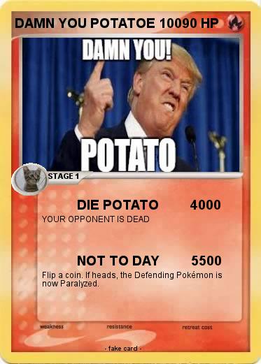 Pokemon DAMN YOU POTATOE 100
